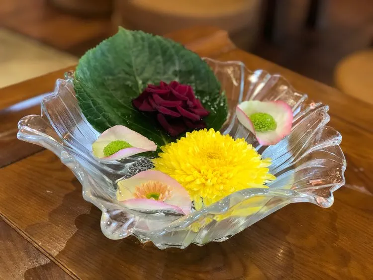 多肉最美季，養肉人日常記錄