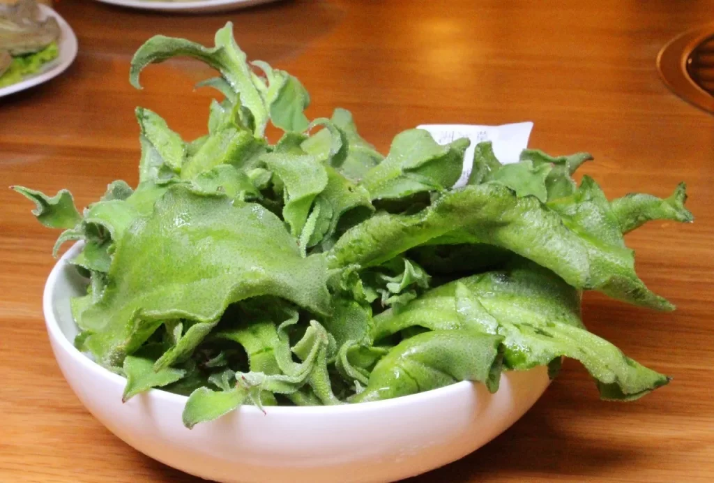 非洲冰草有哪些價值