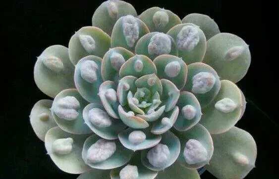 雨滴
