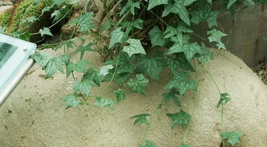 睡布袋的養護方式和注意事項